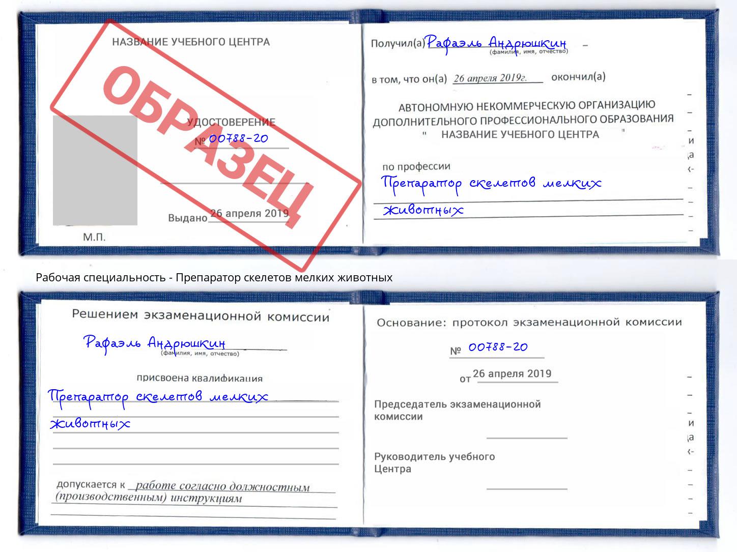 Препаратор скелетов мелких животных Железногорск (Курская обл.)
