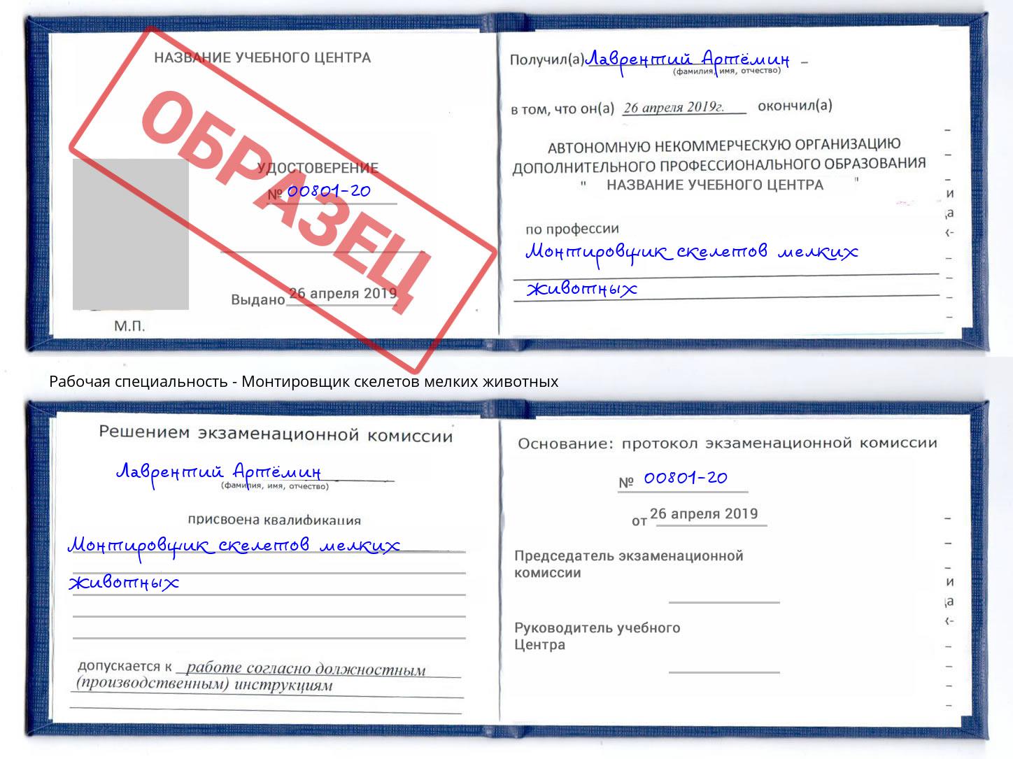 Монтировщик скелетов мелких животных Железногорск (Курская обл.)