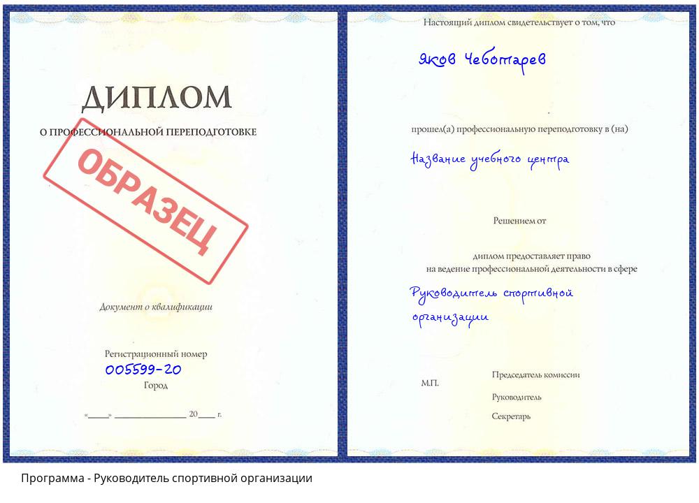 Руководитель спортивной организации Железногорск (Курская обл.)
