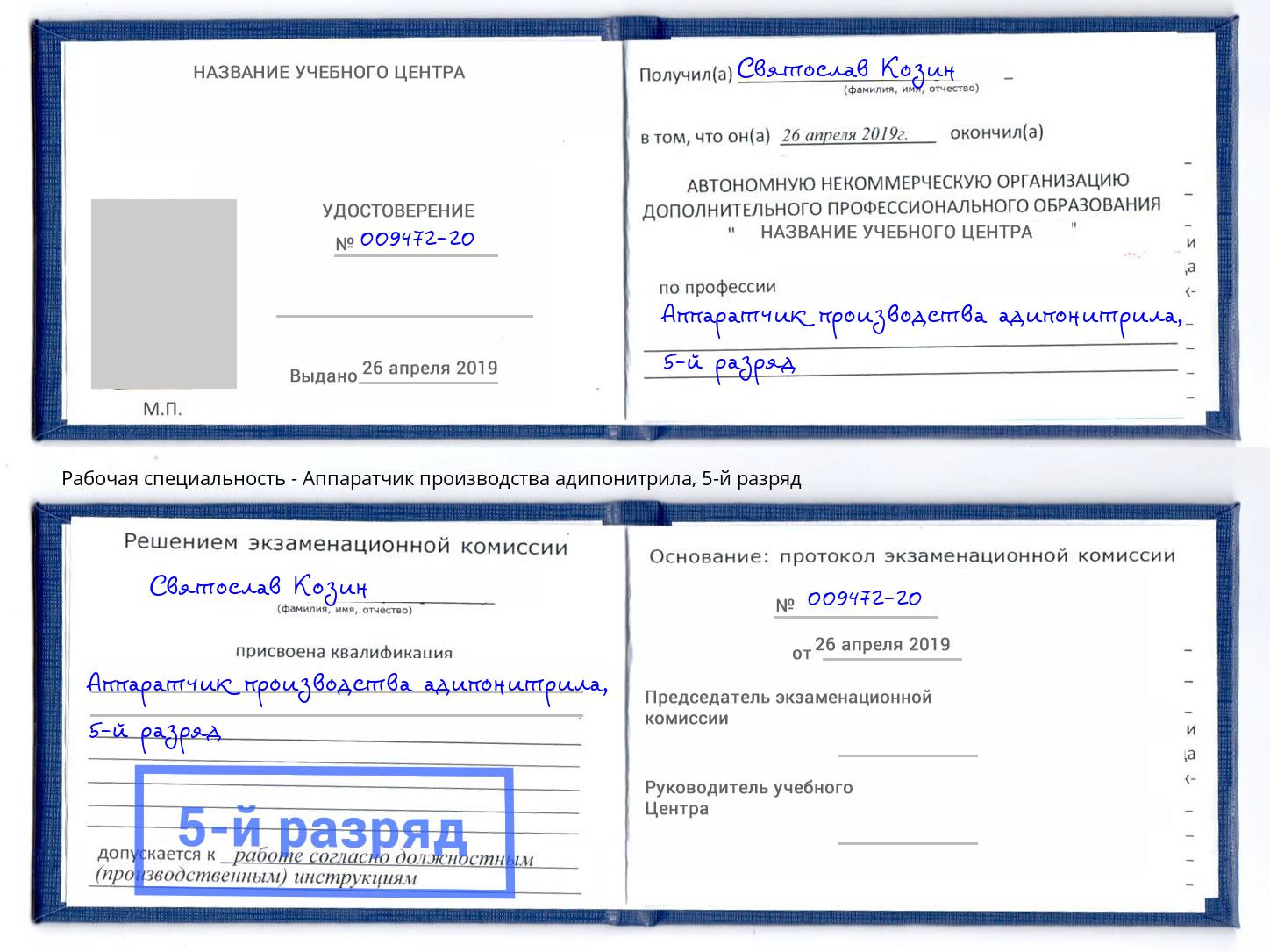корочка 5-й разряд Аппаратчик производства адипонитрила Железногорск (Курская обл.)