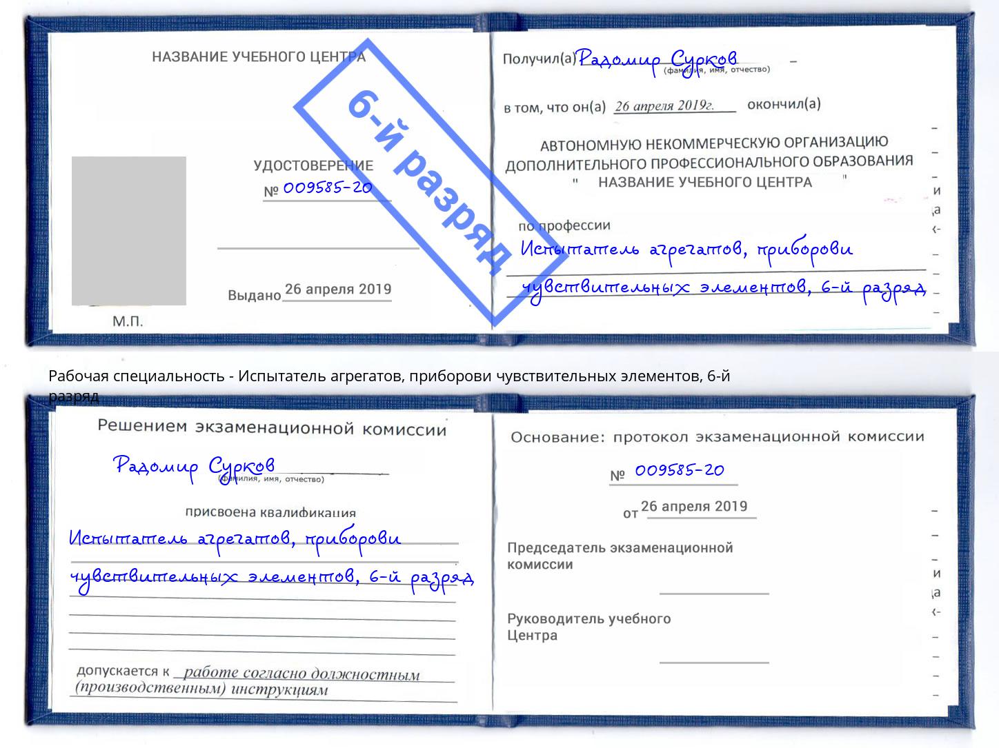 корочка 6-й разряд Испытатель агрегатов, приборови чувствительных элементов Железногорск (Курская обл.)