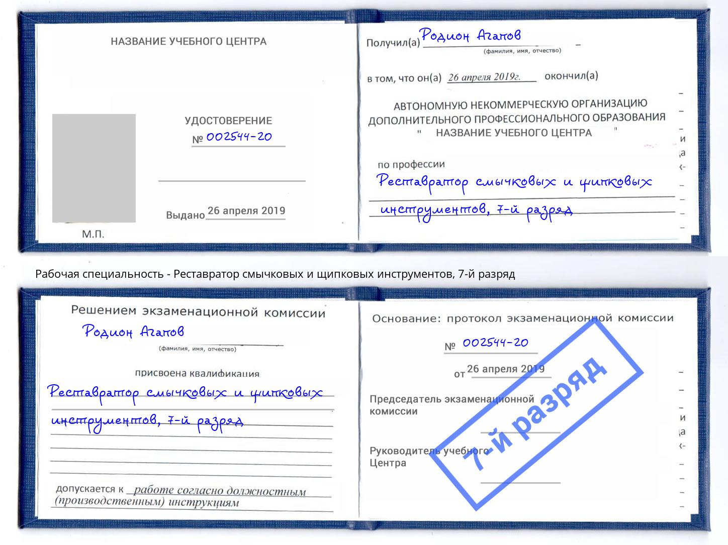 корочка 7-й разряд Реставратор смычковых и щипковых инструментов Железногорск (Курская обл.)