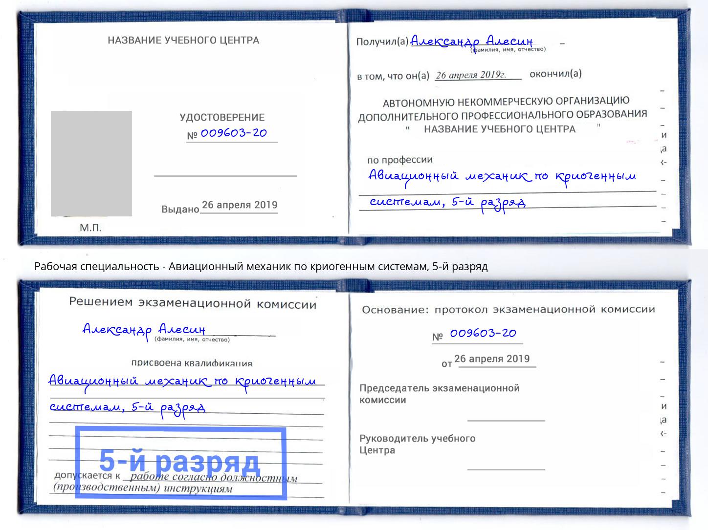 корочка 5-й разряд Авиационный механик по криогенным системам Железногорск (Курская обл.)