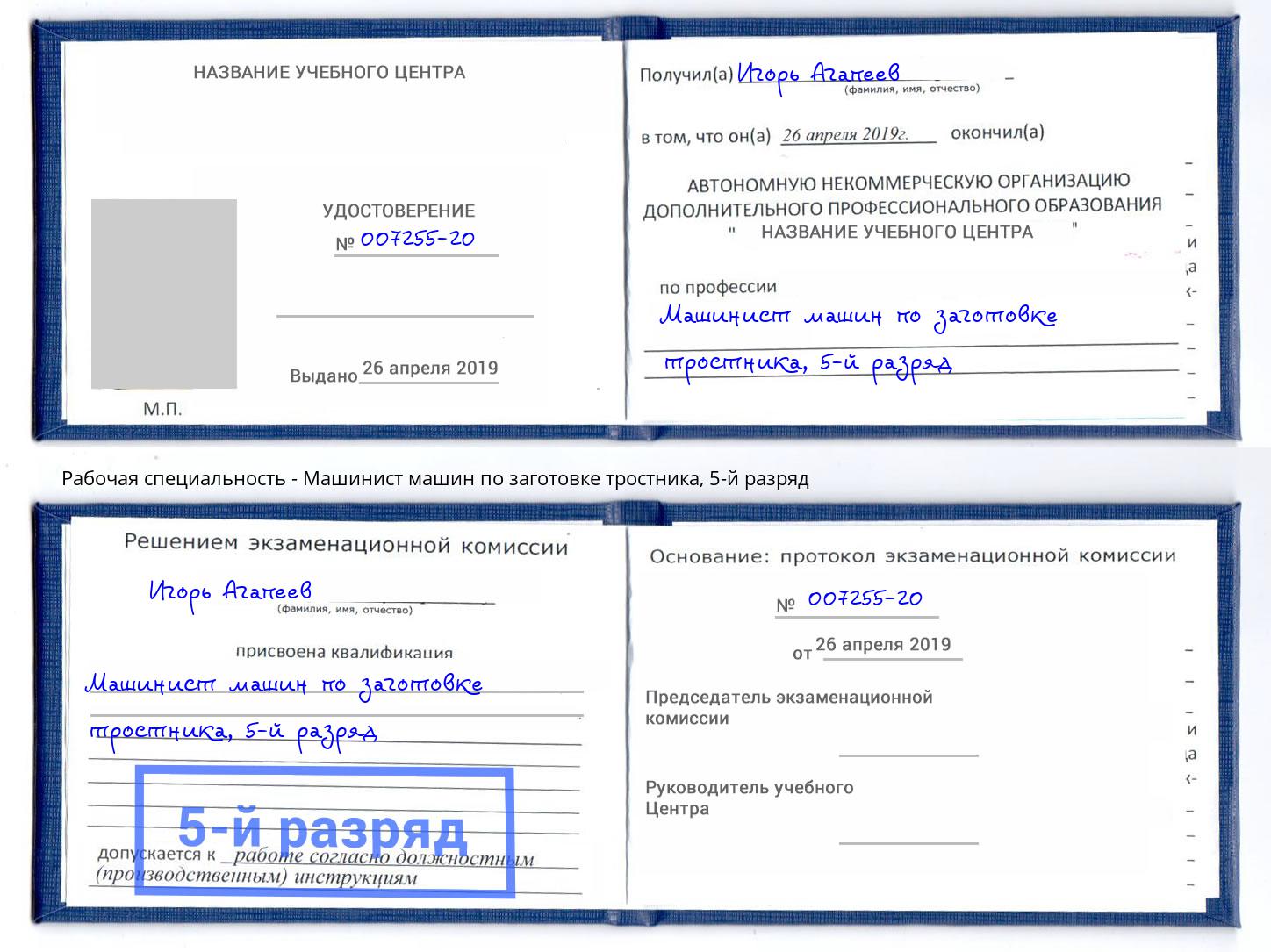 корочка 5-й разряд Машинист машин по заготовке тростника Железногорск (Курская обл.)