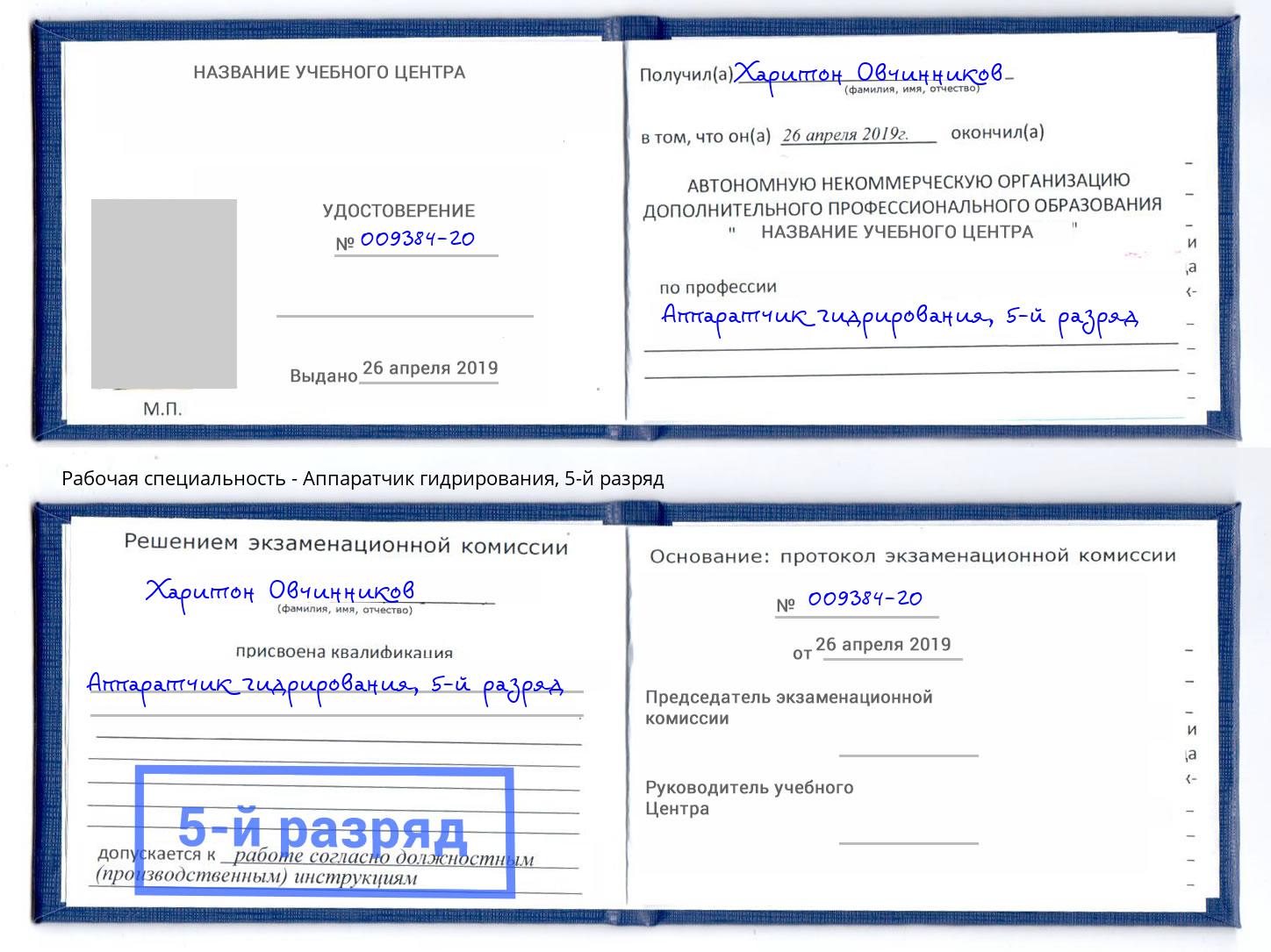 корочка 5-й разряд Аппаратчик гидрирования Железногорск (Курская обл.)