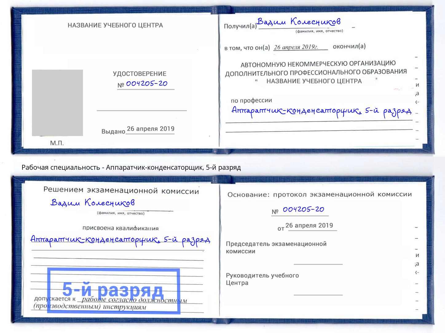 корочка 5-й разряд Аппаратчик-конденсаторщик Железногорск (Курская обл.)