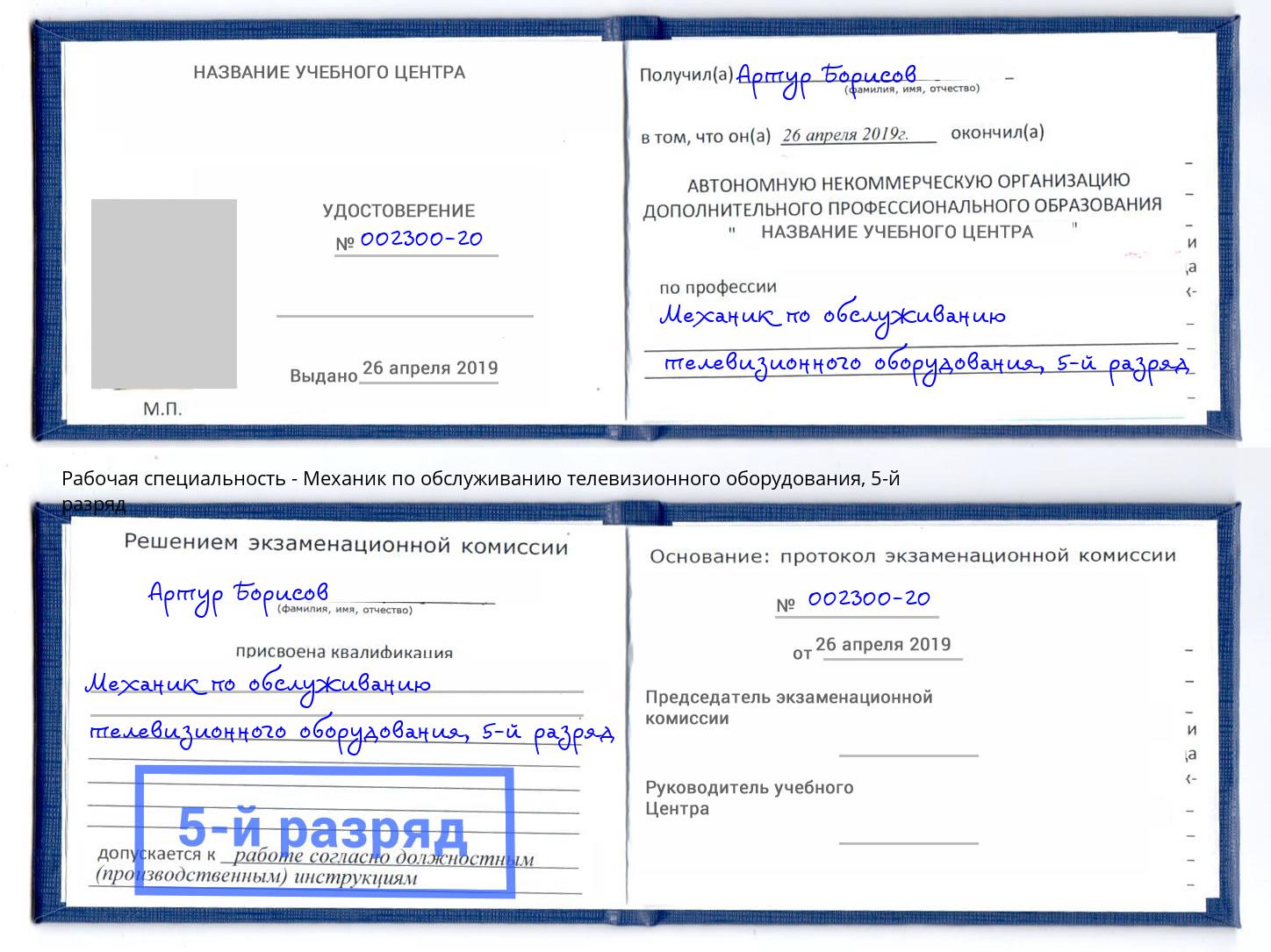 корочка 5-й разряд Механик по обслуживанию телевизионного оборудования Железногорск (Курская обл.)