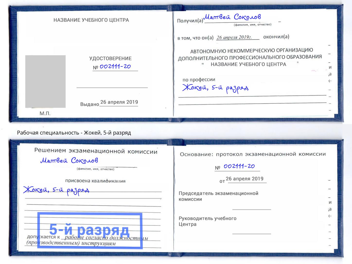 корочка 5-й разряд Жокей Железногорск (Курская обл.)