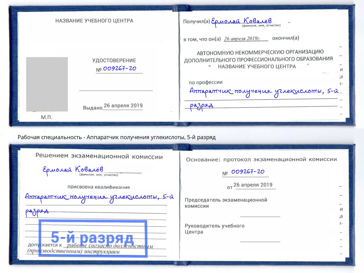 корочка 5-й разряд Аппаратчик получения углекислоты Железногорск (Курская обл.)